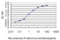 SLIT3 Antibody (monoclonal) (M04)