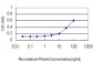 SMAD1 Antibody (monoclonal) (M02)