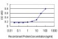 SMAD1 Antibody (monoclonal) (M03)