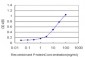 SMAD2 Antibody (monoclonal) (M01)