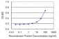 SMAD3 Antibody (monoclonal) (M09)