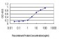 SMAD5 Antibody (monoclonal) (M01)