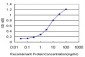 SMAD5 Antibody (monoclonal) (M03)