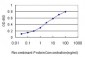 SMARCB1 Antibody (monoclonal) (M01)