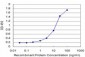 SMARCD3 Antibody (monoclonal) (M04)