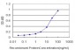 SMO Antibody (monoclonal) (M10)