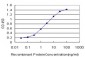 SMURF1 Antibody (monoclonal) (M01)