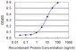 SNAI2 Antibody (monoclonal) (M04)