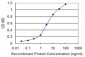 SNAP25 Antibody (monoclonal) (M01)