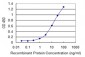 SNAP29 Antibody (monoclonal) (M01)