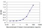 SNCB Antibody (monoclonal) (M07)