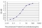 SNRPA Antibody (monoclonal) (M01)