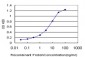 SORD Antibody (monoclonal) (M01)