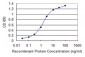 SOX15 Antibody (monoclonal) (M02)