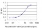 SOX4 Antibody (monoclonal) (M01)