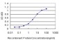 SP1 Antibody (monoclonal) (M03)