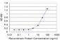 SPARC Antibody (monoclonal) (M02)