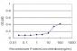 SPI1 Antibody (monoclonal) (M01)