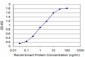 SPI1 Antibody (monoclonal) (M02)