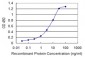 SPN Antibody (monoclonal) (M01)