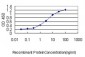 SQSTM1 Antibody (monoclonal) (M01)