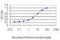 SSBP1 Antibody (monoclonal) (M10)