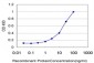 SSH3 Antibody (monoclonal) (M01)