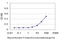 STAM2 Antibody (monoclonal) (M01)