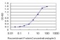 STAT5B Antibody (monoclonal) (M03)