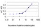 STAU1 Antibody (monoclonal) (M01)