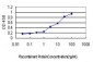 STIP1 Antibody (monoclonal) (M01)