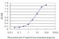 STIP1 Antibody (monoclonal) (M11)