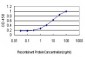 STK17B Antibody (monoclonal) (M01)