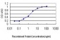 STK4 Antibody (monoclonal) (M01)