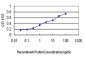 STK6 Antibody (monoclonal) (M01)