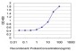 STMN2 Antibody (monoclonal) (M02)