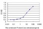 STXBP1 Antibody (monoclonal) (M01)