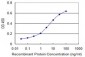 SUFU Antibody (monoclonal) (M01)