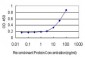 SUGT1 Antibody (monoclonal) (M03)