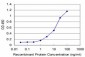 SUPT5H Antibody (monoclonal) (M04)