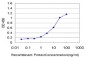 SURB7 Antibody (monoclonal) (M08)