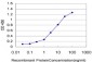 SURB7 Antibody (monoclonal) (M10)