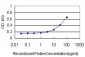 SYN1 Antibody (monoclonal) (M07)