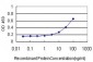 SYN1 Antibody (monoclonal) (M07)