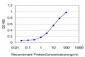 SYNJ1 Antibody (monoclonal) (M01)