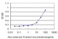 SYT1 Antibody (monoclonal) (M05)