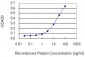 SYT11 Antibody (monoclonal) (M03)