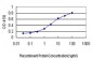 T Antibody (monoclonal) (M01)