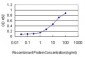 TAF1 Antibody (monoclonal) (M01)