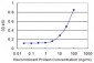 TAF1C Antibody (monoclonal) (M02)